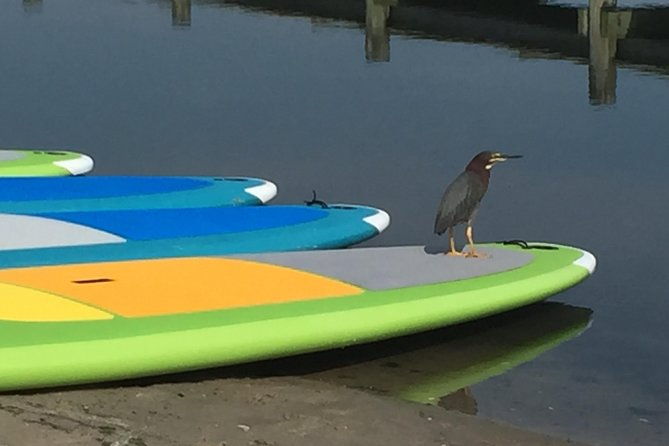 sunset-paddleboard-excursion-rehoboth-bay
