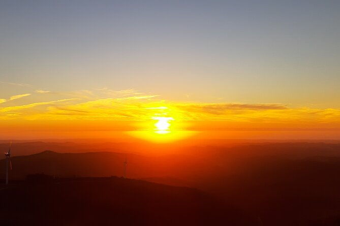 sunset-safari-4h
