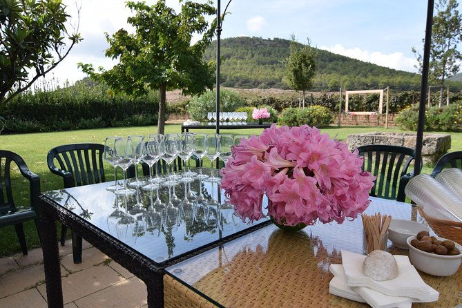 sunset-tour-with-visit-and-guided-tasting-of-5-wines-and-local-products