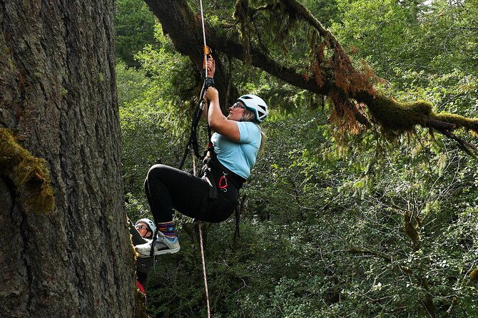sunset-tree-climb-at-silver-falls-state-park