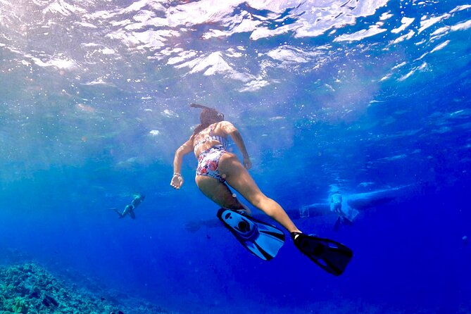 super-raft-private-charter-maui-3-hour-snorkel-to-coral-gardens-or-molokini