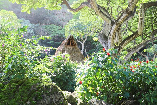 swim-at-oahu-waterfall-in-waimea-with-coffee-lunch-and-dole