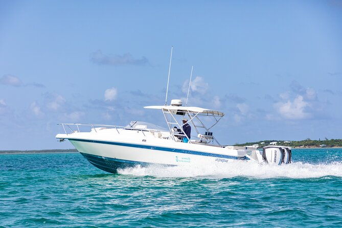 swim-with-the-pigs-half-day-harbour-island-private-boat-tour