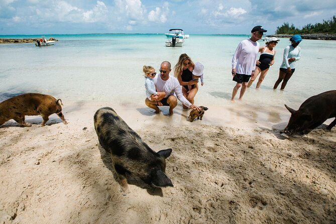 swim-with-the-turtles-harbour-island-luxury-private-boat-tour