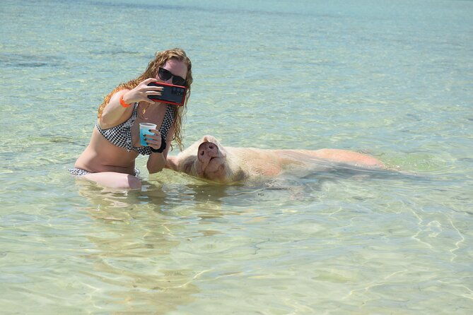 swimming-with-pigs-in-nassau-transportation-included