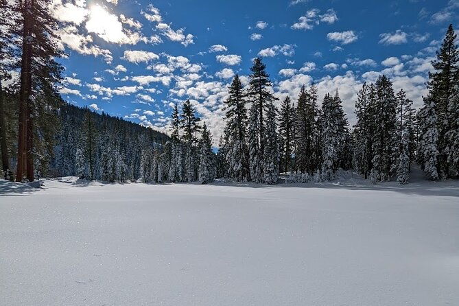 tahoe-national-forest-moonlight-snowshoe-tour-under-a-starry-sky