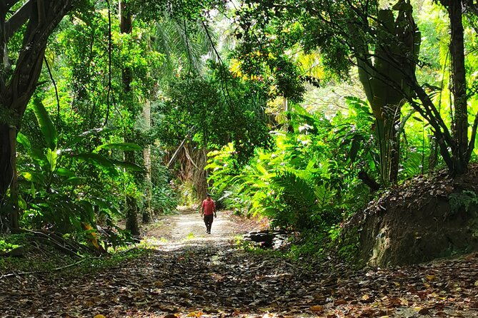 taino-valley-tropical-park-puerto-plata-tubagua