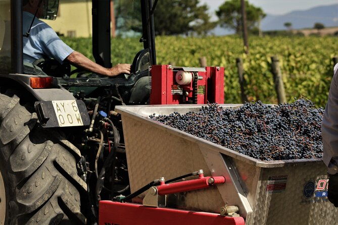 tasting-selection-of-4-wines-in-montefalco