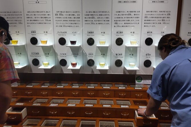 tea-museum-shizuoka-and-guinness-world-records-bridge-v-g