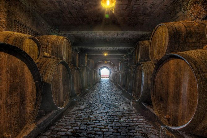 tenerife-gastronomy-tour-with-two-winery-visits-and-4-course-lunch