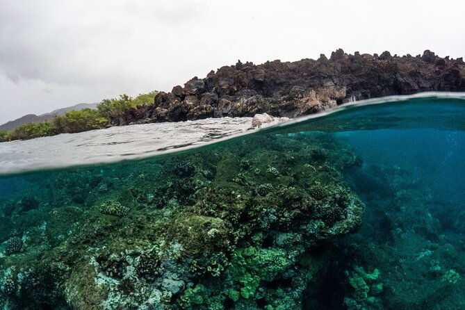 the-best-2-5-hour-molokini-snorkel-tour-whale-watch-2