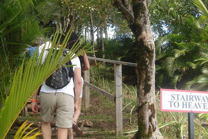 the-best-of-saint-lucia-tour