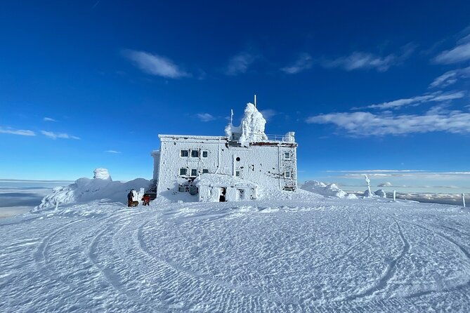 the-best-of-sofia-magical-snowshoeing-adventure-in-vitosha-spa-2