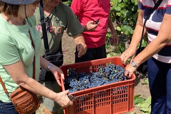 the-best-wine-tour