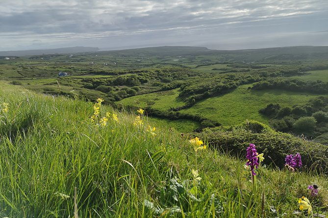 the-burren-and-cliffs-of-moher-full-day-private-tour-from-galway