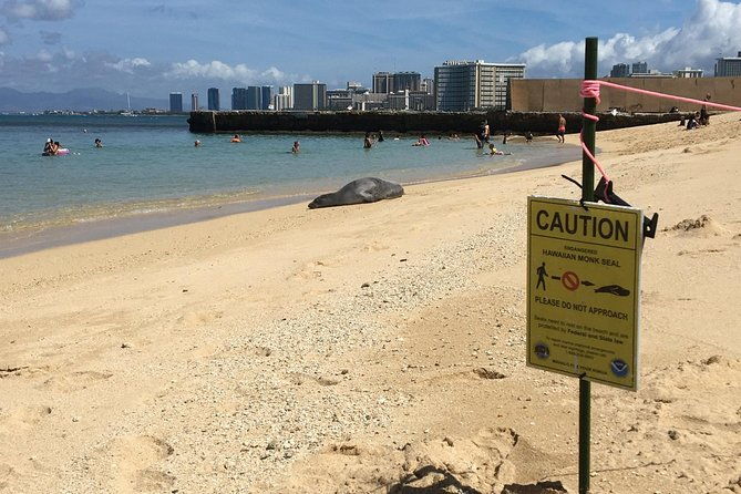 the-east-waikiki-walking-tour