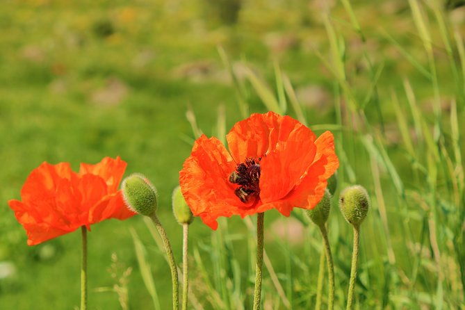 the-great-beauty-of-armenia-7-day-culture-and-cuisine-tour