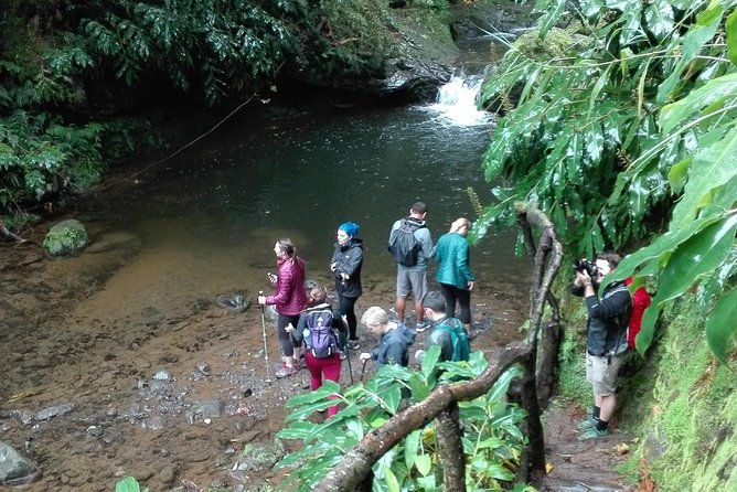 the-great-waterfalls-hiking-tour