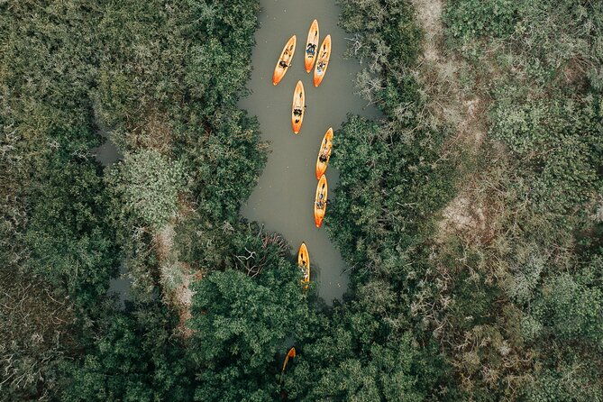 thousand-islands-mangrove-tunnel-kayak-tour-with-cocoa-kayaking-2