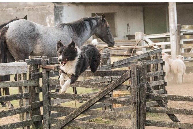three-days-tour-in-a-traditional-ranch-estancia-la-pilona