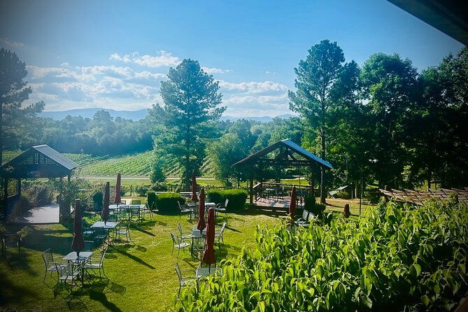 three-vineyards-half-day-private-wine-tour-from-asheville