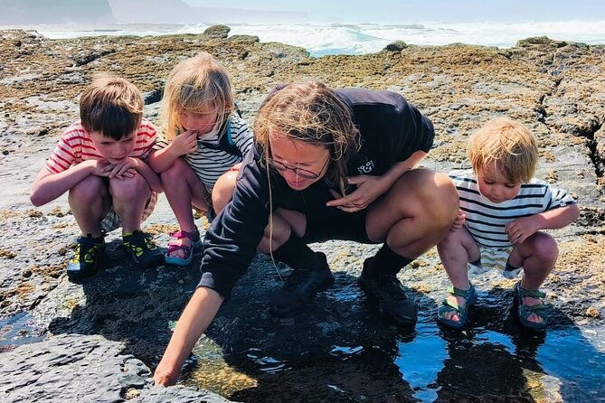 tide-pool-safari-in-monte-clerigo-beach
