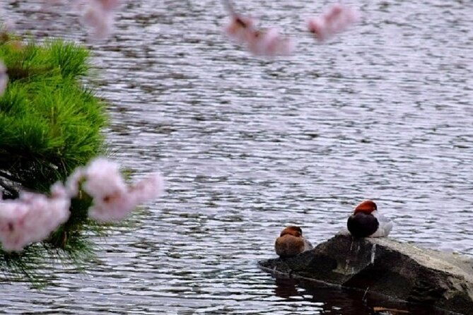 tokyo-tsukiji-hamarikyu-gardens-wellness-tour-walk-and-relax