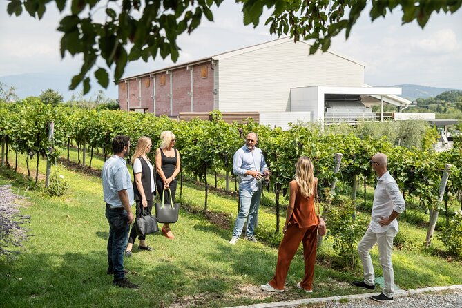 tour-and-tasting-of-organic-wines-in-lazise-2