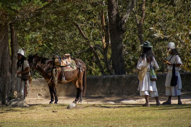 tour-in-pueblo-bello-biodiverse-colombia-south-america