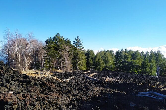 tour-of-etna-on-foot-food-and-wine-tasting-in-the-etna-winery
