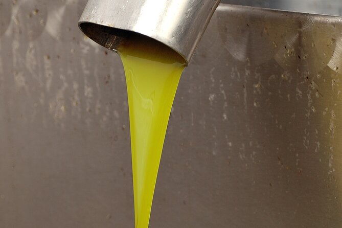 tour-of-the-oil-mill-with-tasting