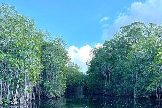 tour-to-black-river-and-ys-falls