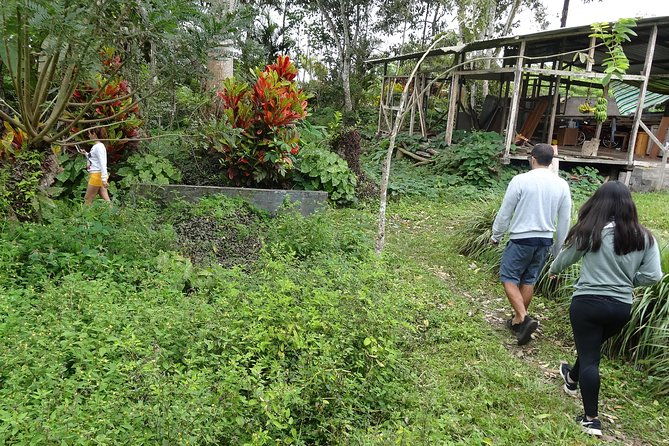 transfer-in-visit-to-the-giant-turtle-nature-reserve