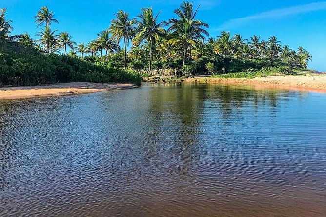 transfer-salvador-to-barra-grande-round-trip