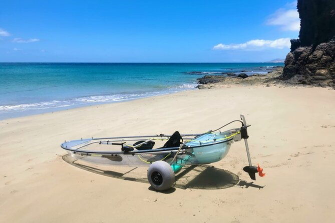 transparent-electric-kayaks-with-guide