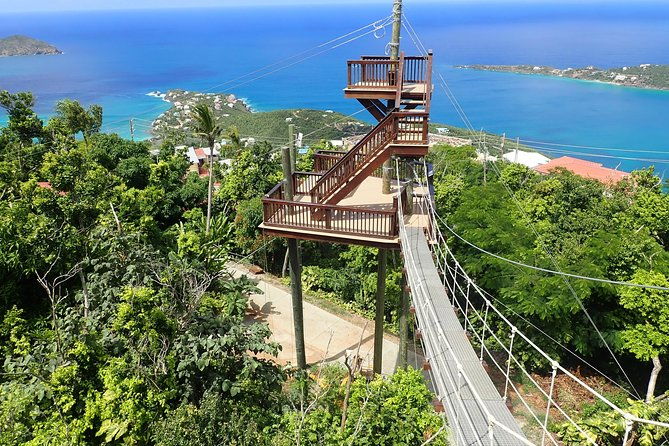 tree-limin-extreme-zipline