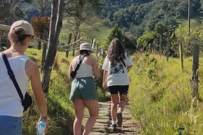 trekking-hiking-in-cocora-valley-from-pereira-or-armenia