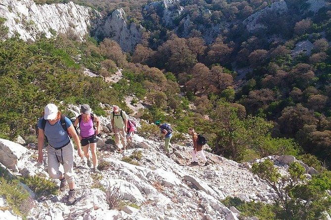 trekking-to-monte-tiscali-oliena