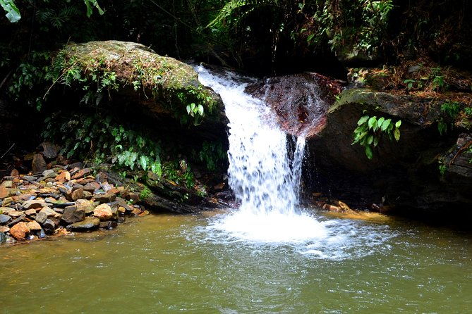 trinidad-nature-and-asa-wright-center-full-day-tour-from-port-of-spain