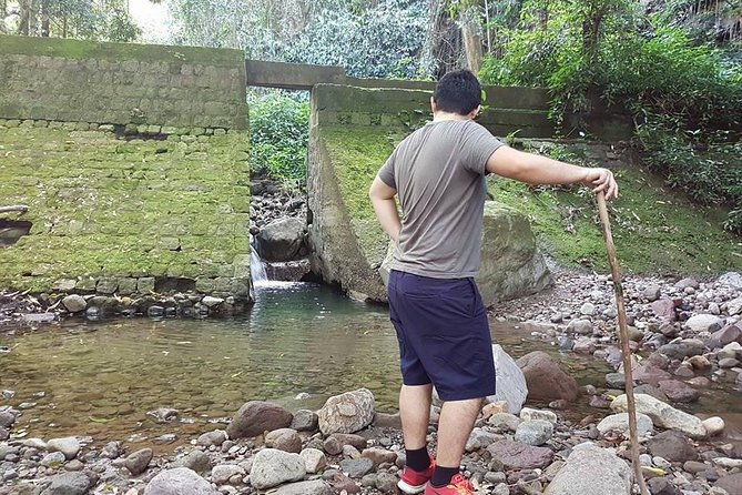 tropical-rain-forest-explorer-hike-in-st-kitts