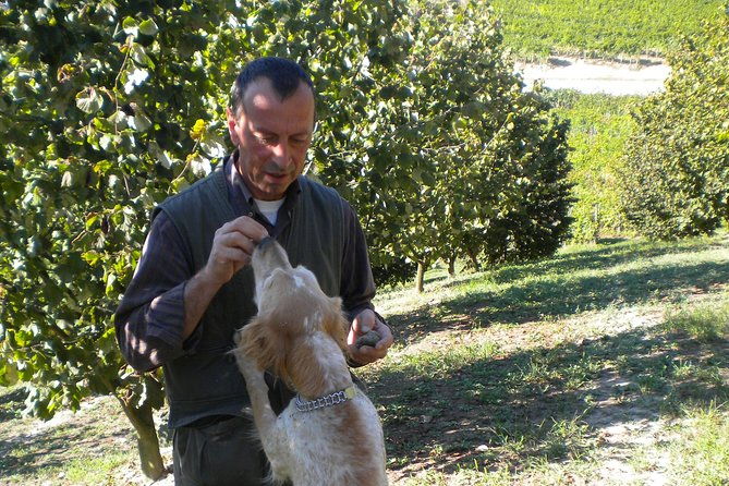 truffle-hunt-wine-tasting