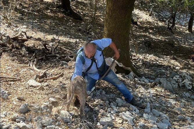 truffle-hunting-culinary-wine-celebration-from-heraklion