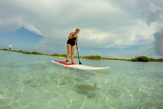 turtle-eco-tour-on-stand-up-paddleboards-or-kayaks-into-the-national-marine-park