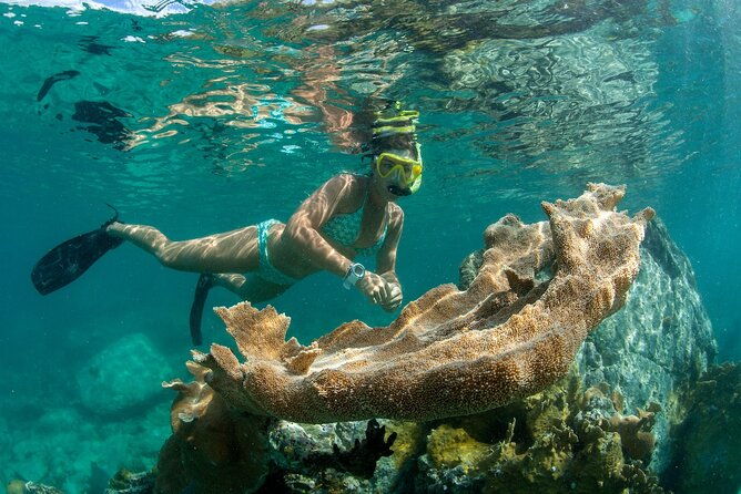 turtle-snorkel-sail-on-buck-island-from-frenchmans-reef