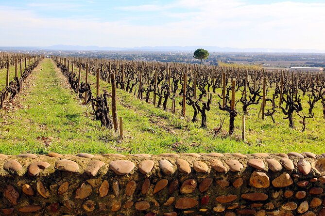 two-intensive-days-discover-exceptional-wines-of-the-rhone-valley