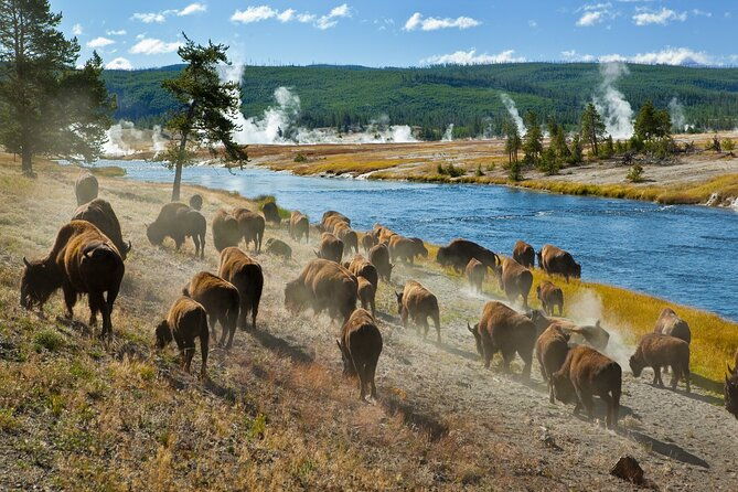 ultimate-audio-tours-yellowstone-glacier-grand-teton-banff