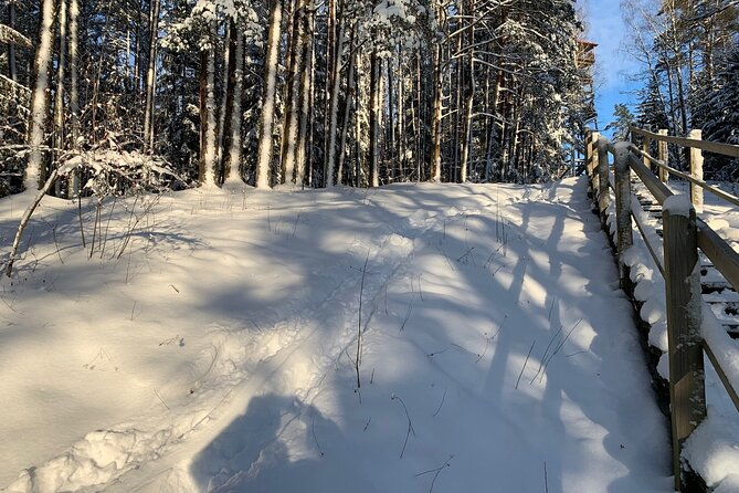 ultimate-husky-dog-sledding-experience-in-latvia-private-tour-from-riga