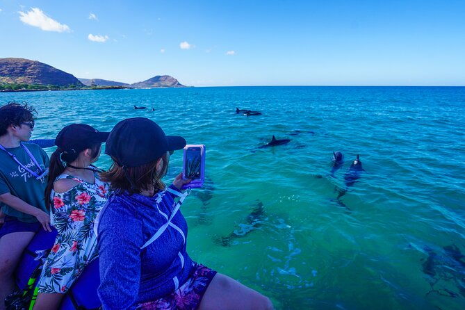 ultimate-kona-dolphin-watch-kealakekua-bay-snorkel