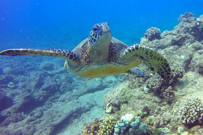 ultimate-na-pali-coast-zodiac-boat-snorkeling-and-sea-cave-tour