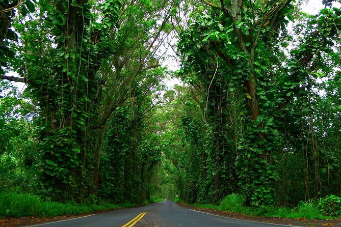 ultimate-self-guided-audio-driving-tour-of-kauai-na-pali-waimea-hawaii
